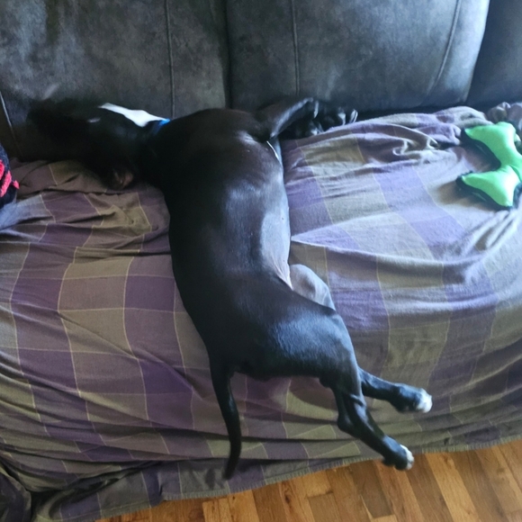 Meet your Posher, Megan! - Picture 5 of 7